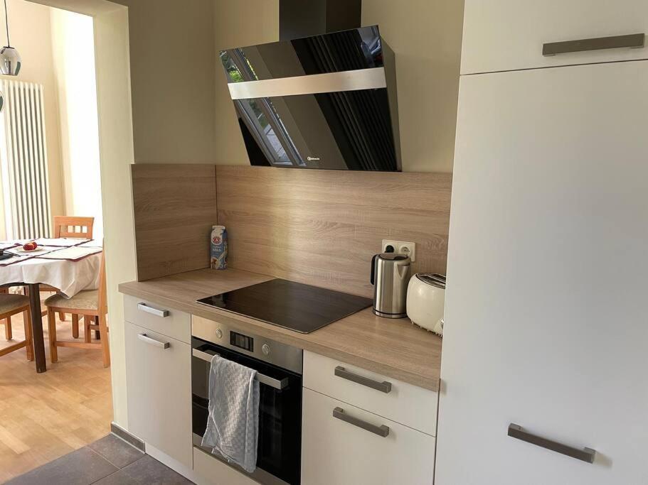Ruhige&Charmante Altbauwohnung Lipsko Exteriér fotografie